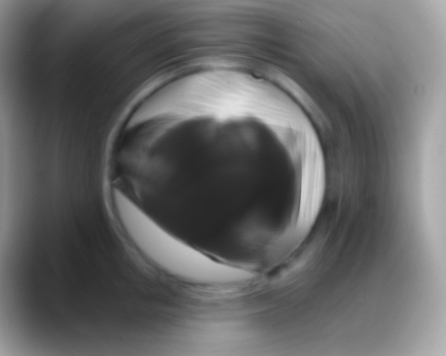 X0000088140853200706041336