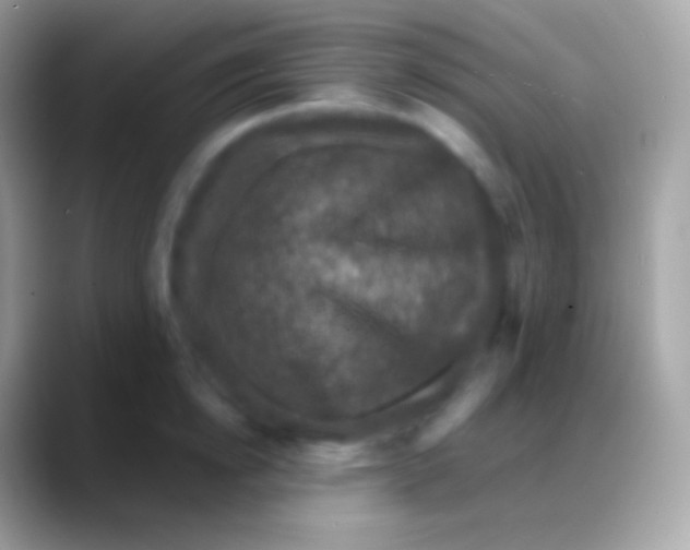 X0000088140854200706041336