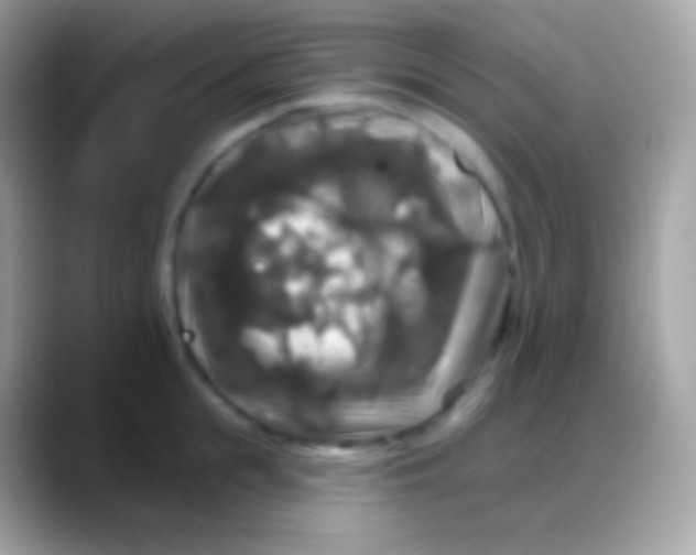 X0000088140855200706041336