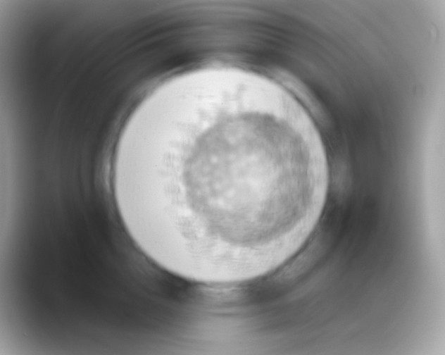 X0000088140856200706041336