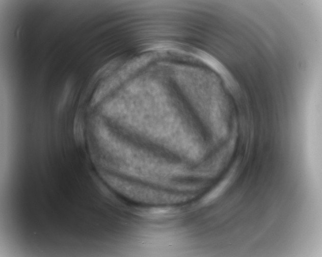 X0000088140857200706041336