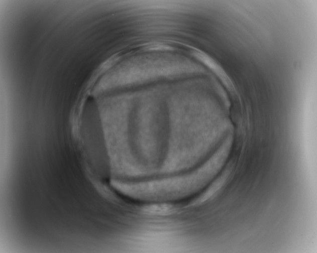 X0000088140858200706041336