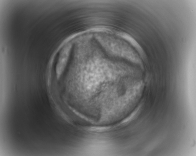 X0000088140860200706041336