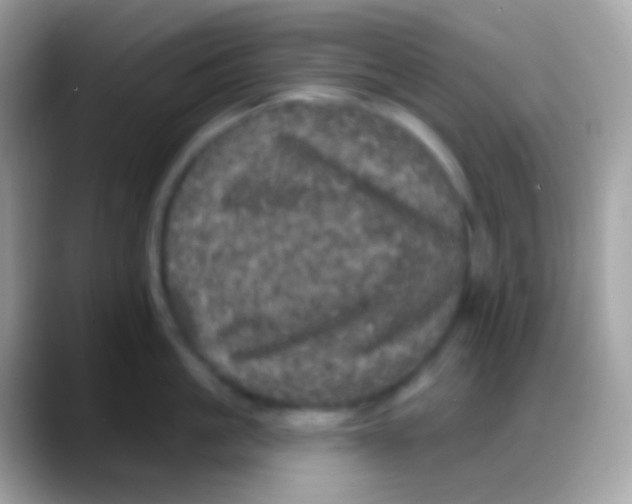 X0000088140861200706041336