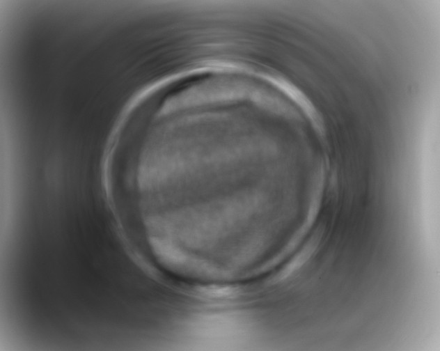 X0000088140862200706041336