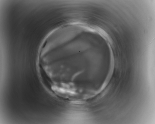 X0000088140863200706041336