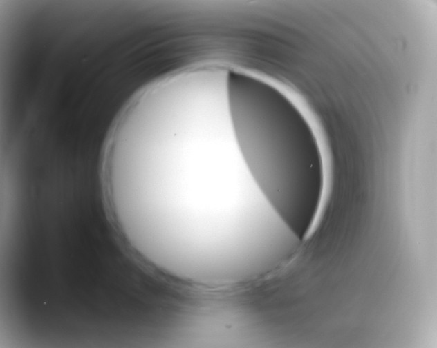 X0000088140864200706041336