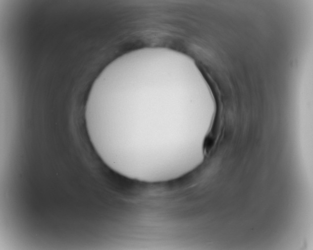 X0000088140865200706041335