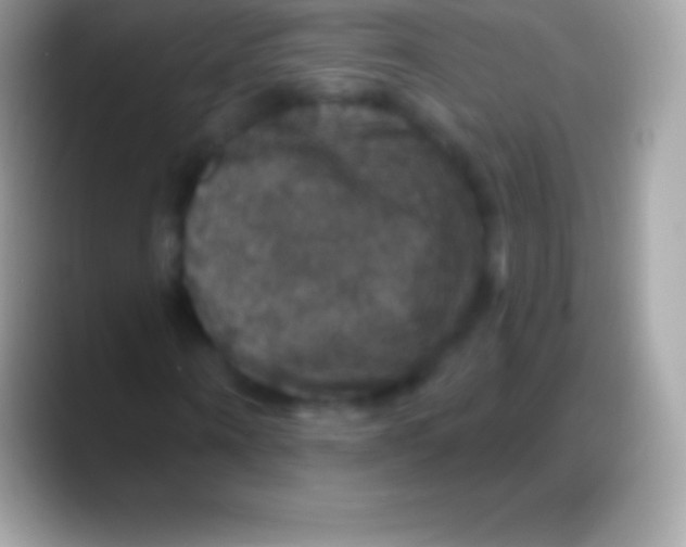 X0000088140866200706041335