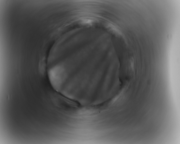 X0000088140868200706041335