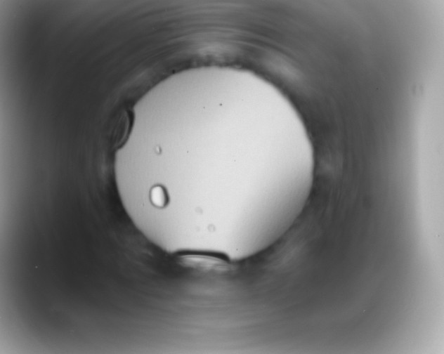 X0000088140869200706041335