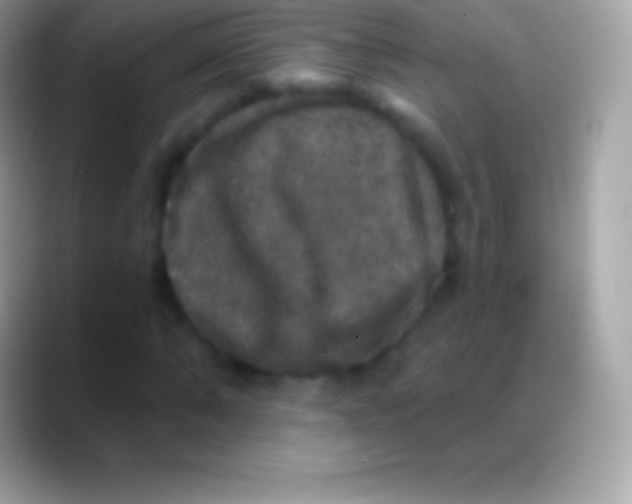 X0000088140870200706041335