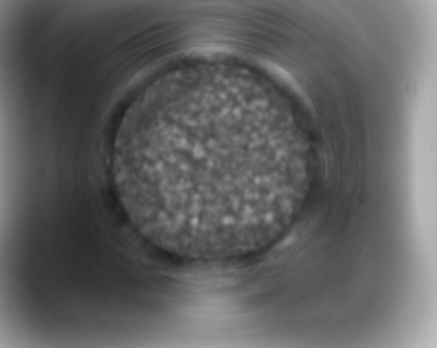 X0000088140871200706041335