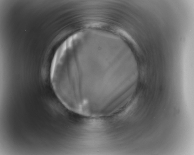 X0000088140874200706041335