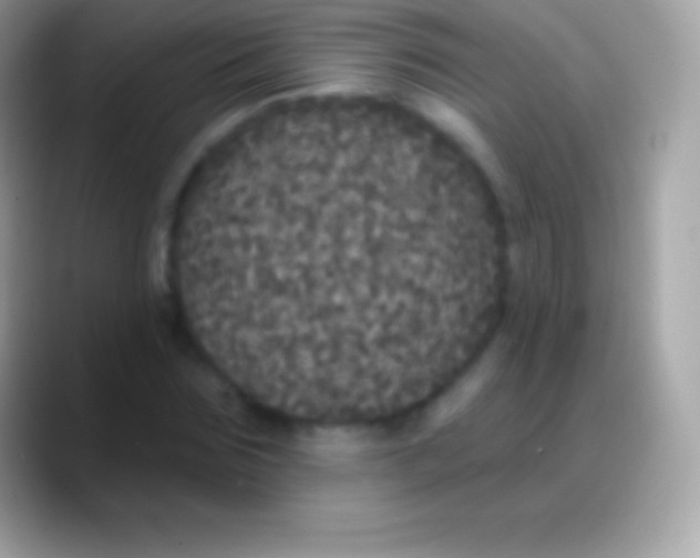 X0000088140875200706041335