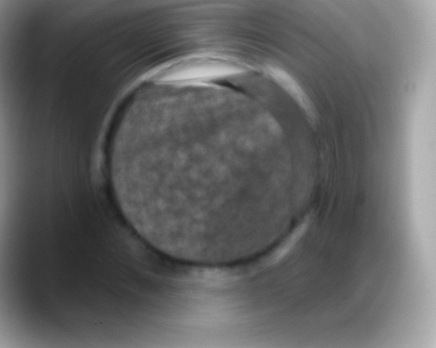 X0000088140876200706041335