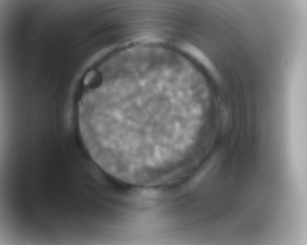 X0000088140878200706041335