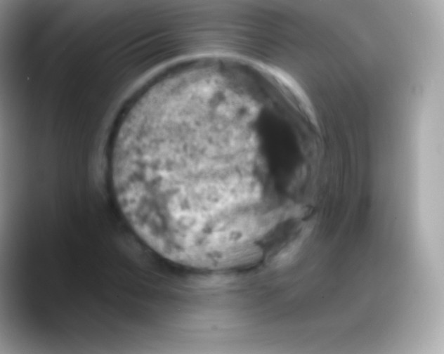 X0000088140879200706041335