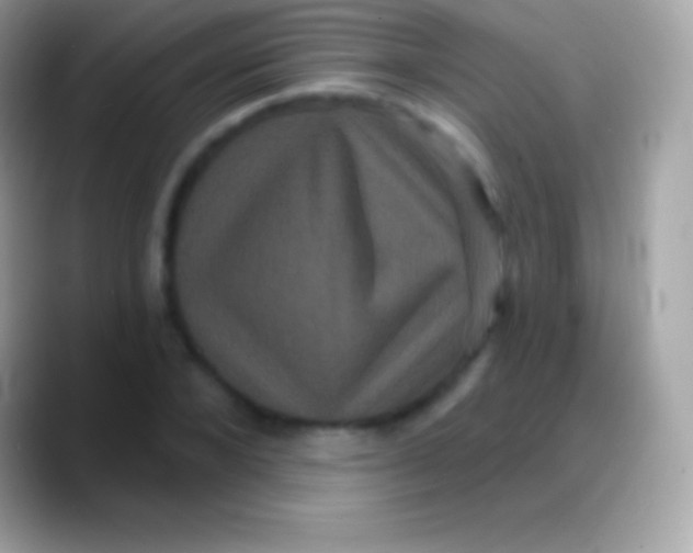 X0000088140880200706041335