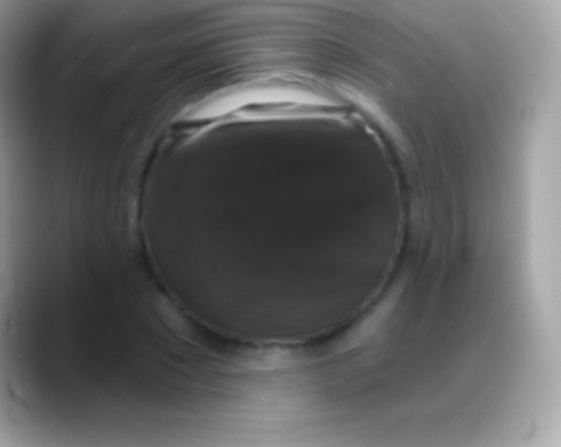 X0000088140881200706041335