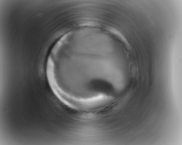 X0000088140882200706041335