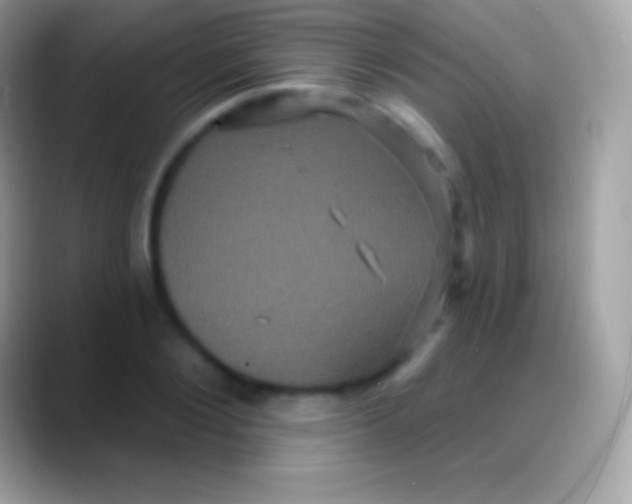 X0000088140884200706041335