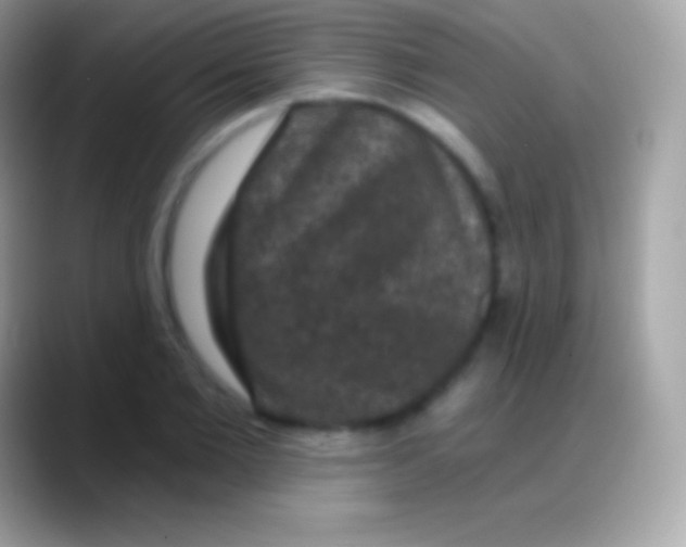 X0000088140885200706041335