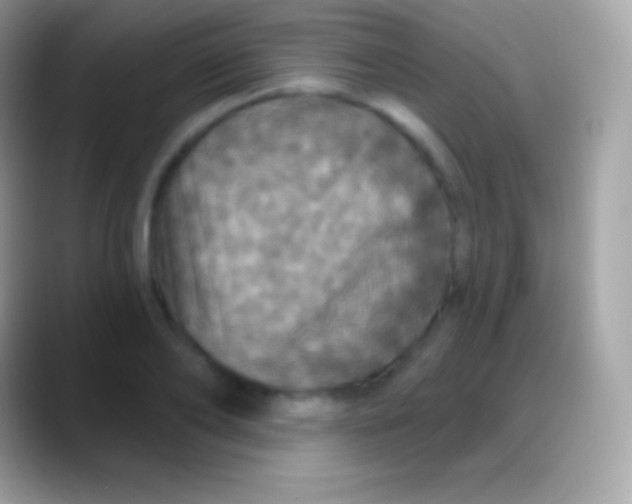 X0000088140886200706041335