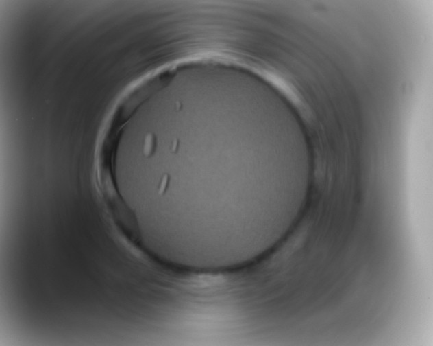 X0000088140888200706041335