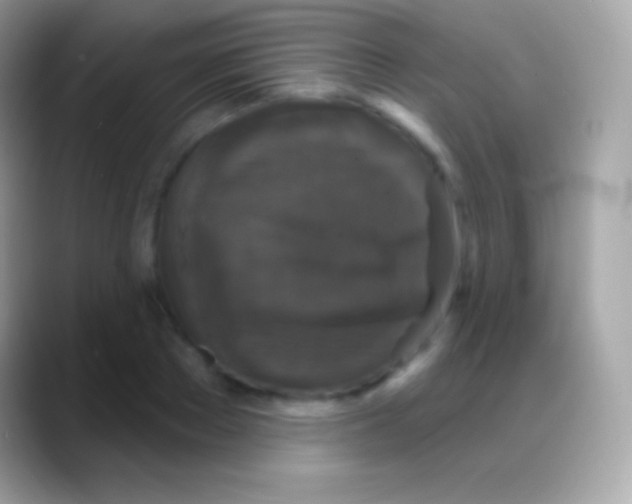 X0000088140889200706041335