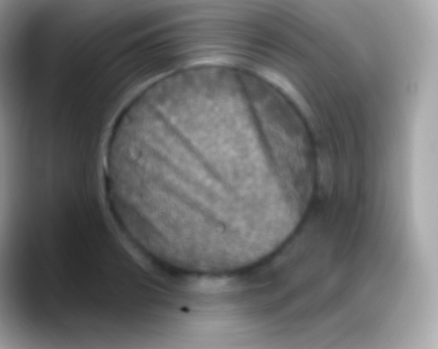 X0000088140890200706041335