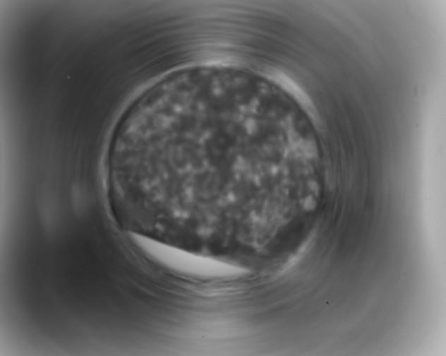 X0000088140891200706041335