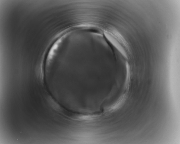 X0000088140892200706041335