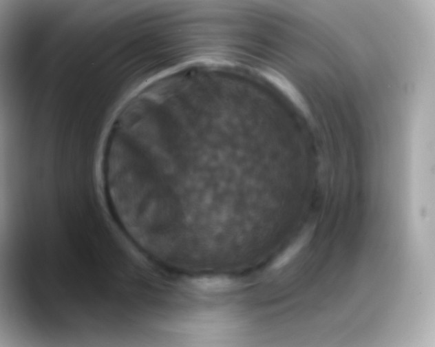 X0000088140893200706041335