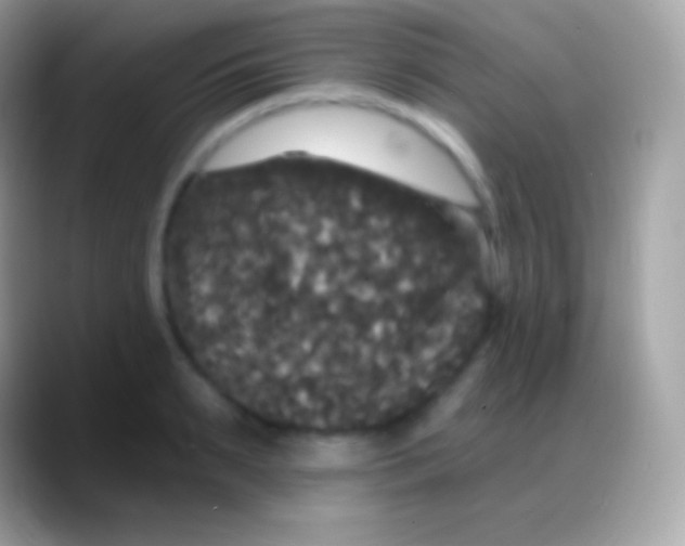 X0000088140895200706041335