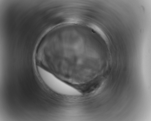 X0000088140899200706041335