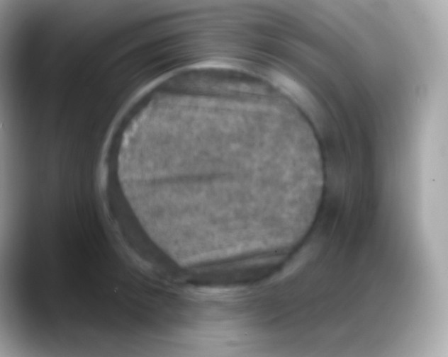 X0000088140900200706041335