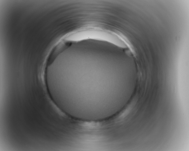 X0000088140901200706041335