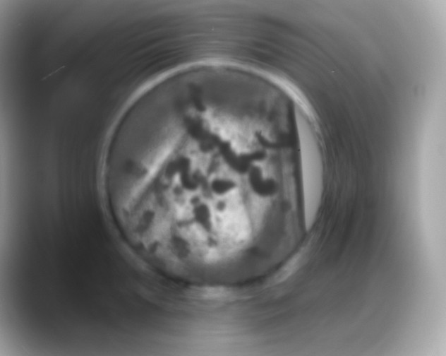 X0000088140903200706041335