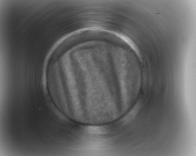 X0000088140904200706041335