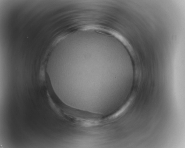 X0000088140905200706041335