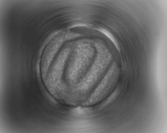 X0000088140906200706041335