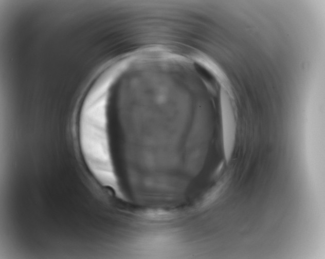 X0000088140907200706041335