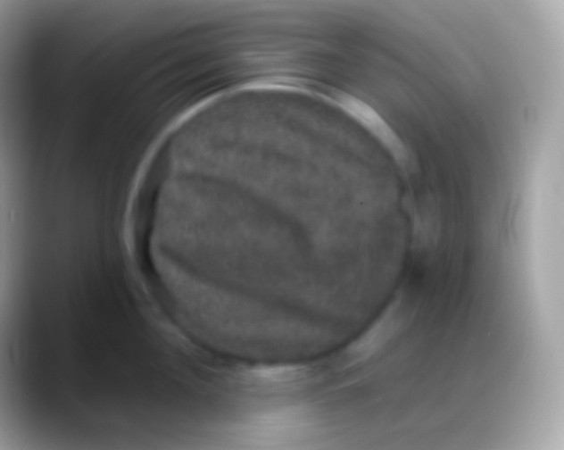 X0000088140908200706041335