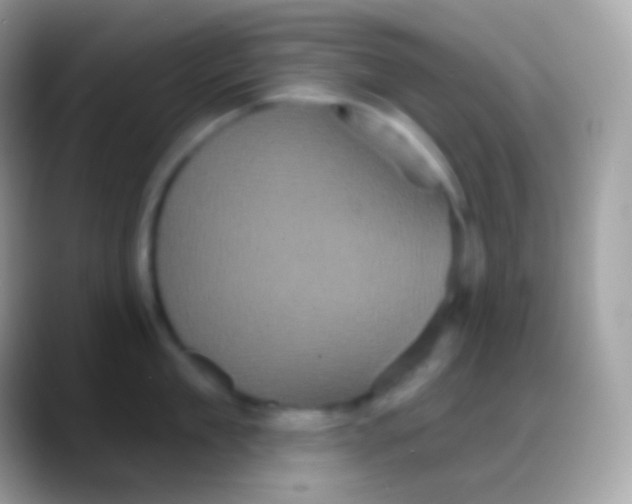 X0000088140909200706041335