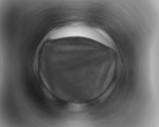 X0000088140910200706041335