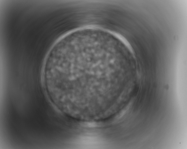 X0000088140911200706041335