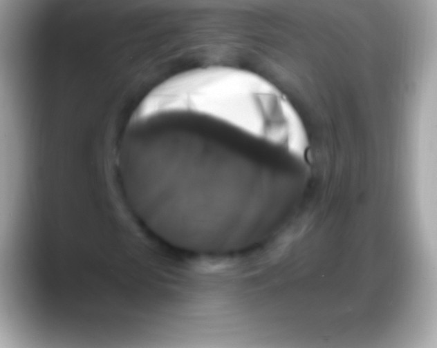 X0000088140913200706041334