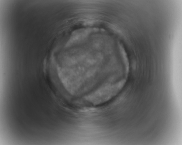 X0000088140914200706041334