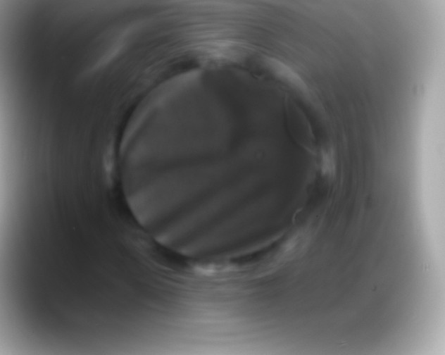 X0000088140915200706041334